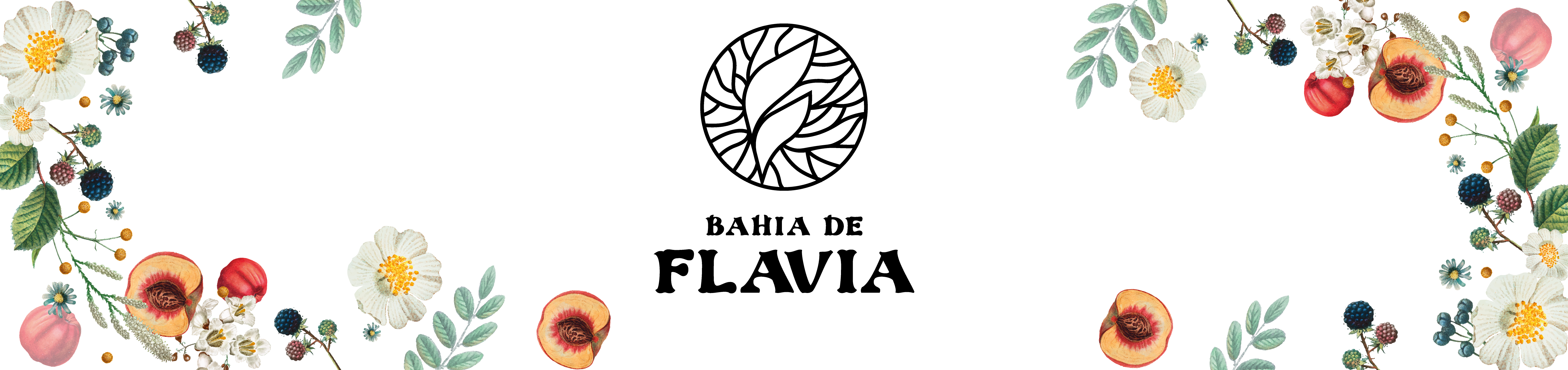 Bahia De Flavia